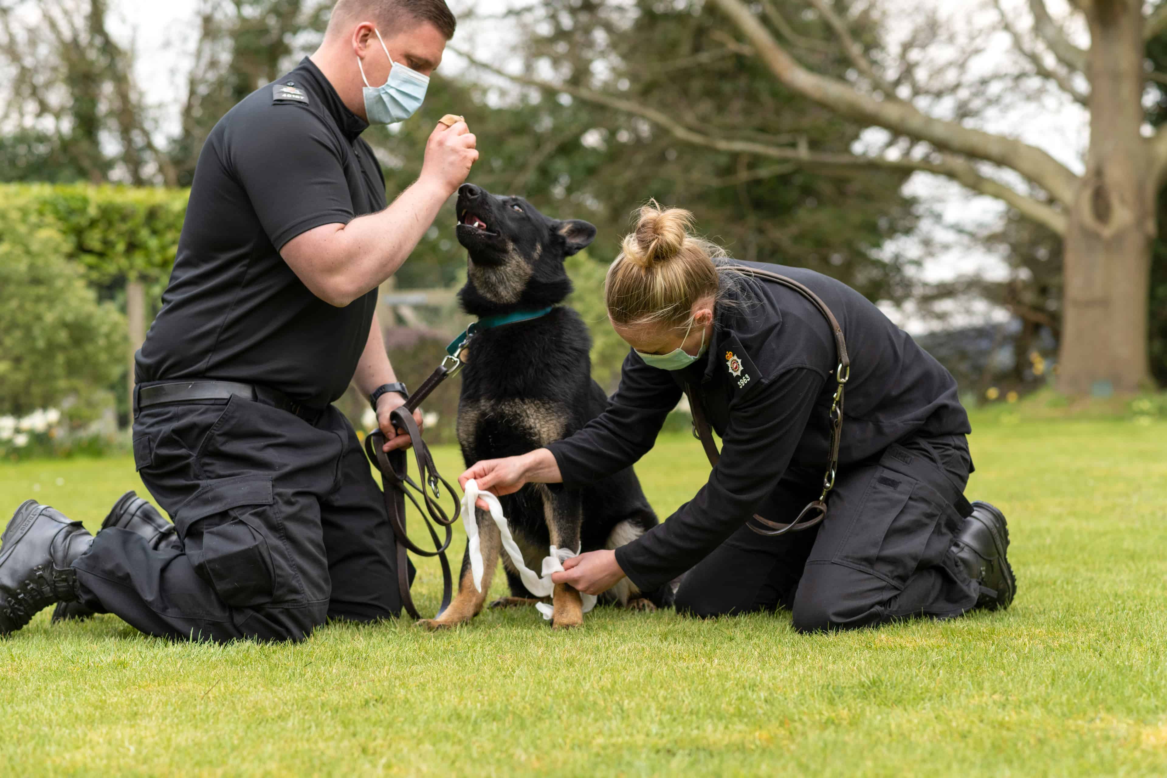 Britain’s police dog handlers to receive free dog first aid training
