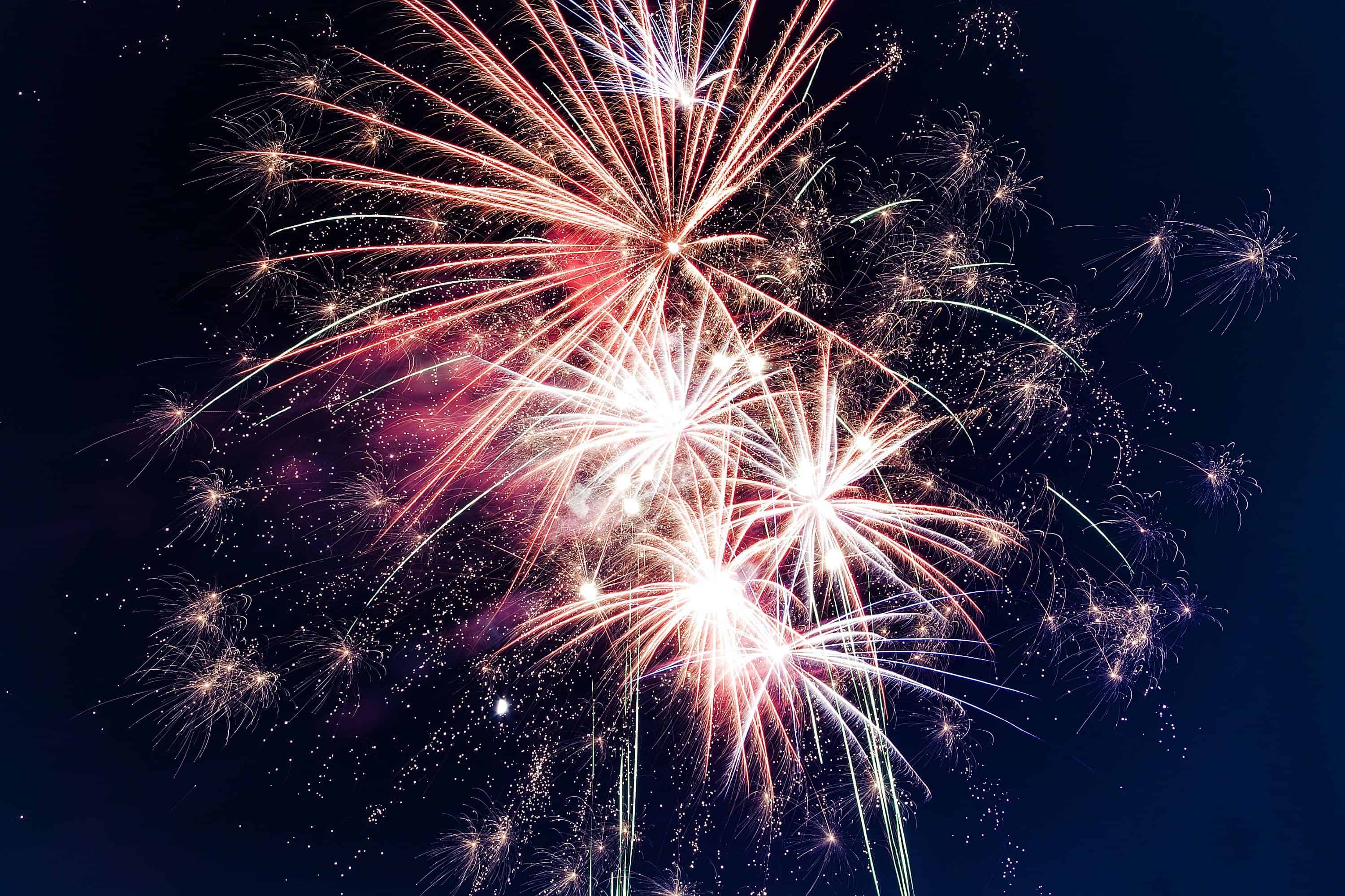 Dogs and fireworks - top tips for the noisy season