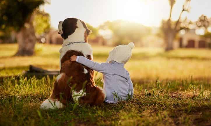 Children, dogs and mental health