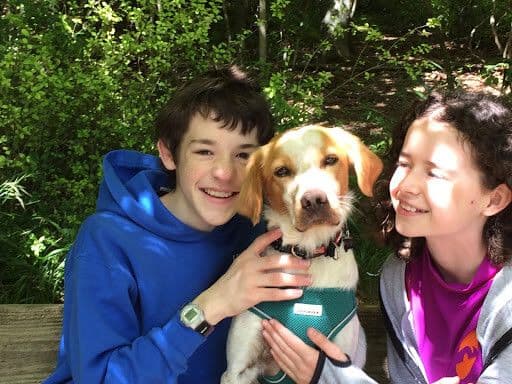 Meet the Sussex woman teaching dog first aid to owners and canine businesses