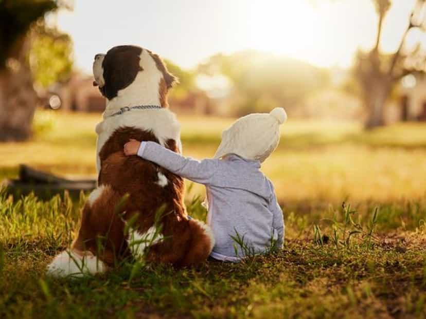 Children, dogs and mental health