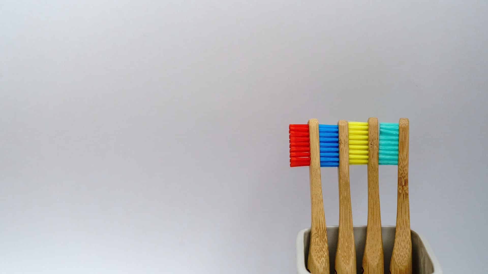 The importance of dental hygiene for dogs